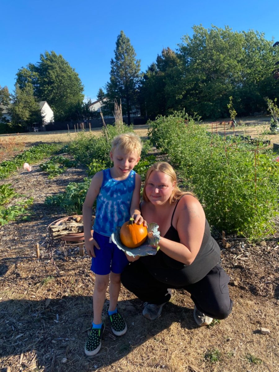 Harvesting a pumpkin in the community garden