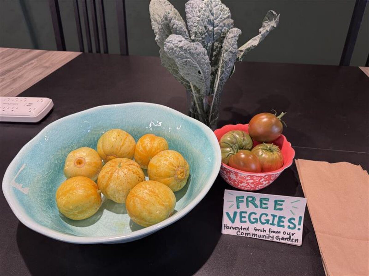 Lemon cucumbers and tomatoes